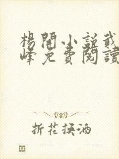 杨开小说武炼巅峰免费阅读笔