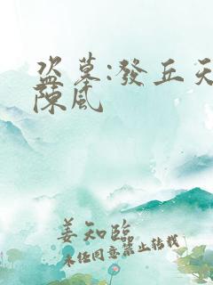 盗墓:发丘天官陈风