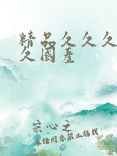 精品久久久久久久国产