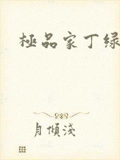极品家丁绿帽文