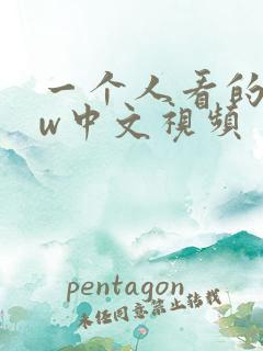 一个人看的www中文视频
