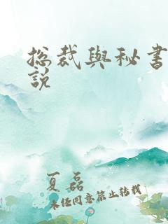 总裁与秘书的小说