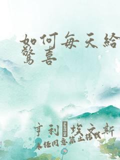如何每天给老婆惊喜