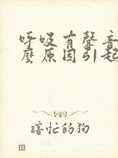 呼吸有声音是什么原因引起的