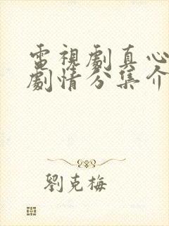 电视剧真心英雄剧情分集介绍