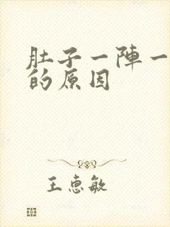 肚子一阵一阵痛的原因