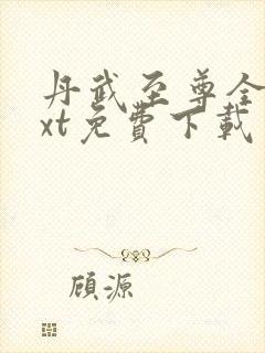 丹武至尊全本txt免费下载