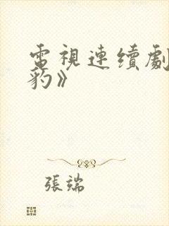 电视连续剧《雪豹》