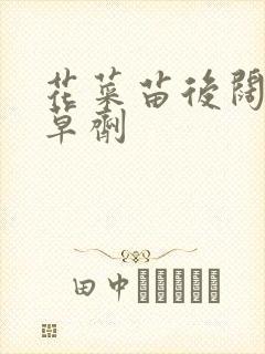 花菜苗后阔叶除草剂