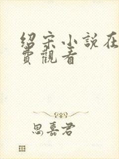 绍宋小说在线免费观看