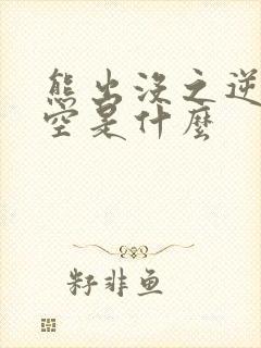 熊出没之逆转时空是什么