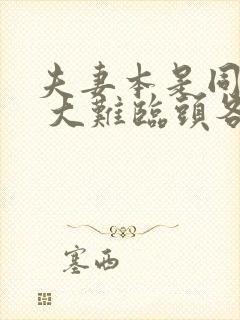 夫妻本是同林鸟 大难临头各自飞