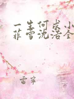 一生何求小说秦菲雪沈浩全文免费阅读txt