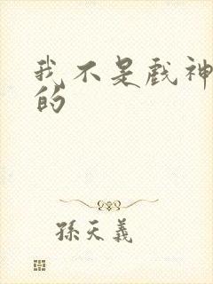 我不是戏神谁写的