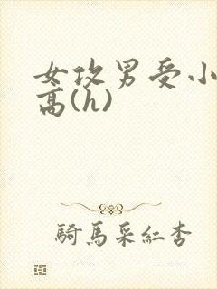 女攻男受小说,高(h)