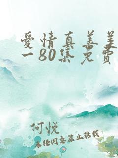 爱情真善美41一80集免费观看