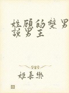 姓顾的双男主小说男主
