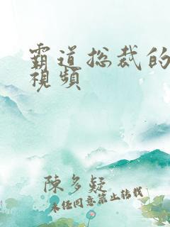 霸道总裁的吻戏视频