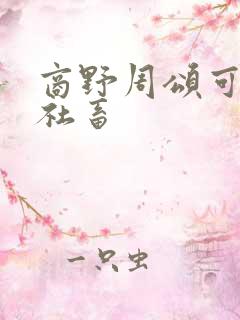 商野周颂可怜的社畜