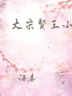 大宋贤王小说