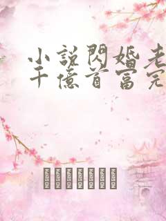 小说闪婚老公是千亿首富完整版