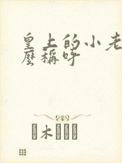皇上的小老婆怎么称呼