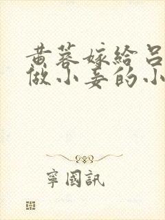 黄蓉嫁给吕文德做小妾的小说