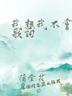 我想我不会爱你歌词