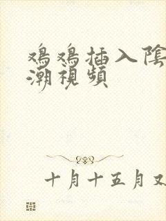 鸡鸡插入阴道高潮视频