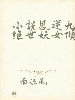 小说凤逆九天:绝世妖女倾天下