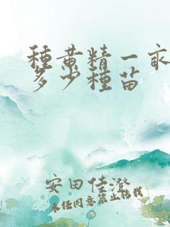 种黄精一亩地需多少种苗