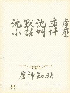 沈默沈奕虞念念小说叫什么名字