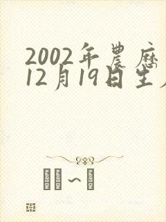 2002年农历12月19日生辰八字