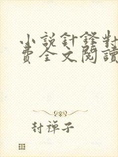 小说针锋对决免费全文阅读一