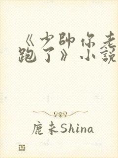 《少帅你老婆又跑了》小说