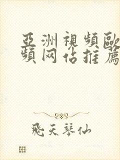 亚洲视频欧美视频网站推荐