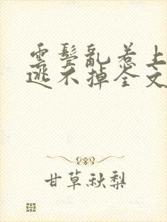 云鬓乱惹上权臣逃不掉全文阅读