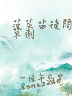 菠菜苗后阔叶除草剂