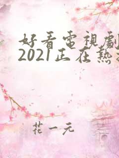 好看电视剧推荐2021正在热播的剧