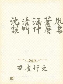 沈清涵萧胤祯小说叫什么名字