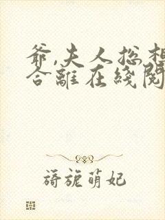 爷,夫人总想要合离在线阅读阅读全文