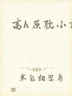 高h原耽小说