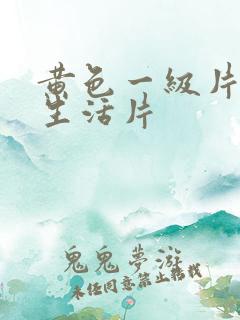 黄色一级片夫妻生活片