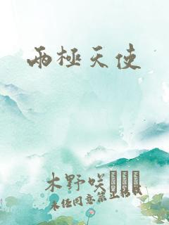 两极天使