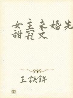 女主未婚先孕的甜宠文
