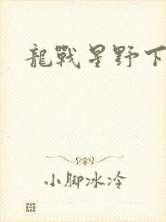 龙战星野下载