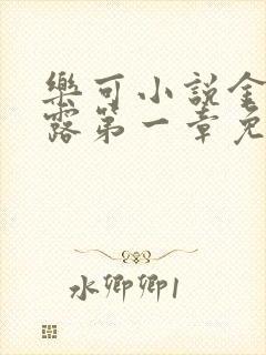 乐可小说金银花露第一章免费阅读