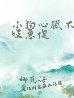 小狗心脏不好呼吸急促