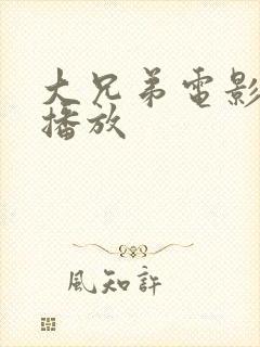 大兄弟电影免费播放