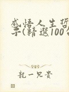 感悟人生哲理句子(精选100句)